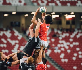 开云平台-迪巴拉，沙漠绿洲中绽放的亚平宁玫瑰