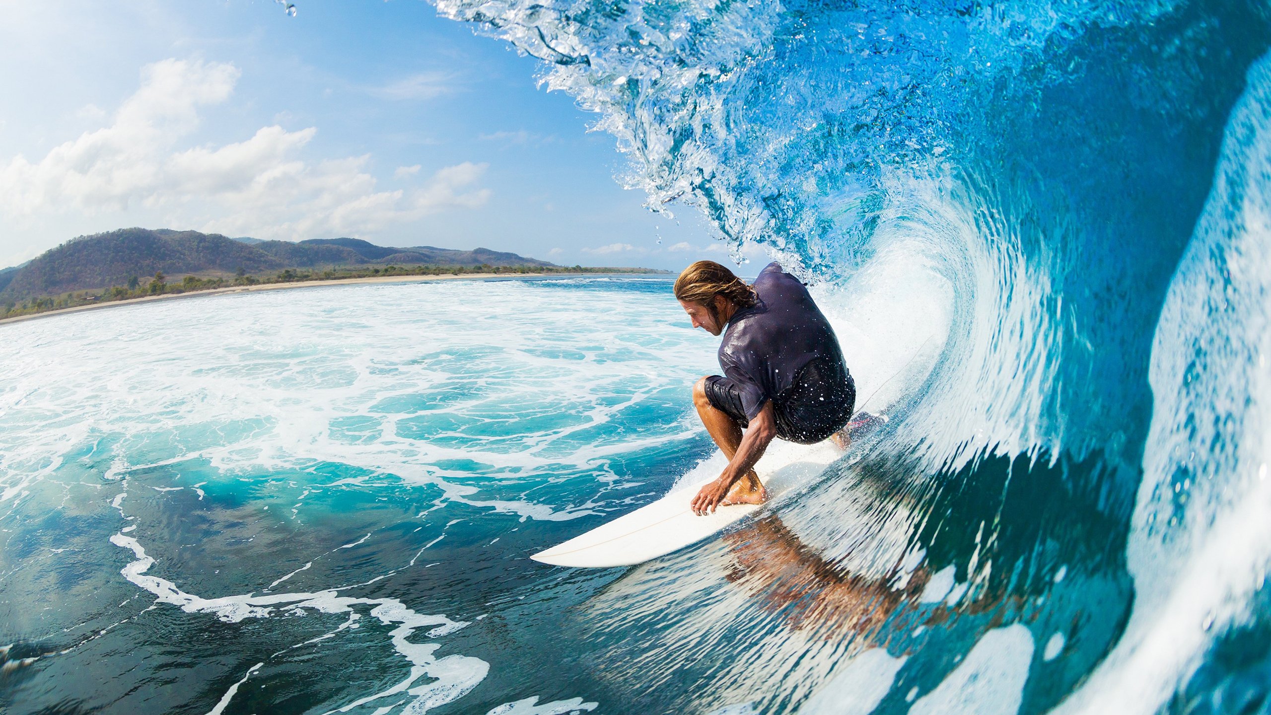 从狼王到熊掌，爱德华兹的季后赛接管与森林狼的残酷进化