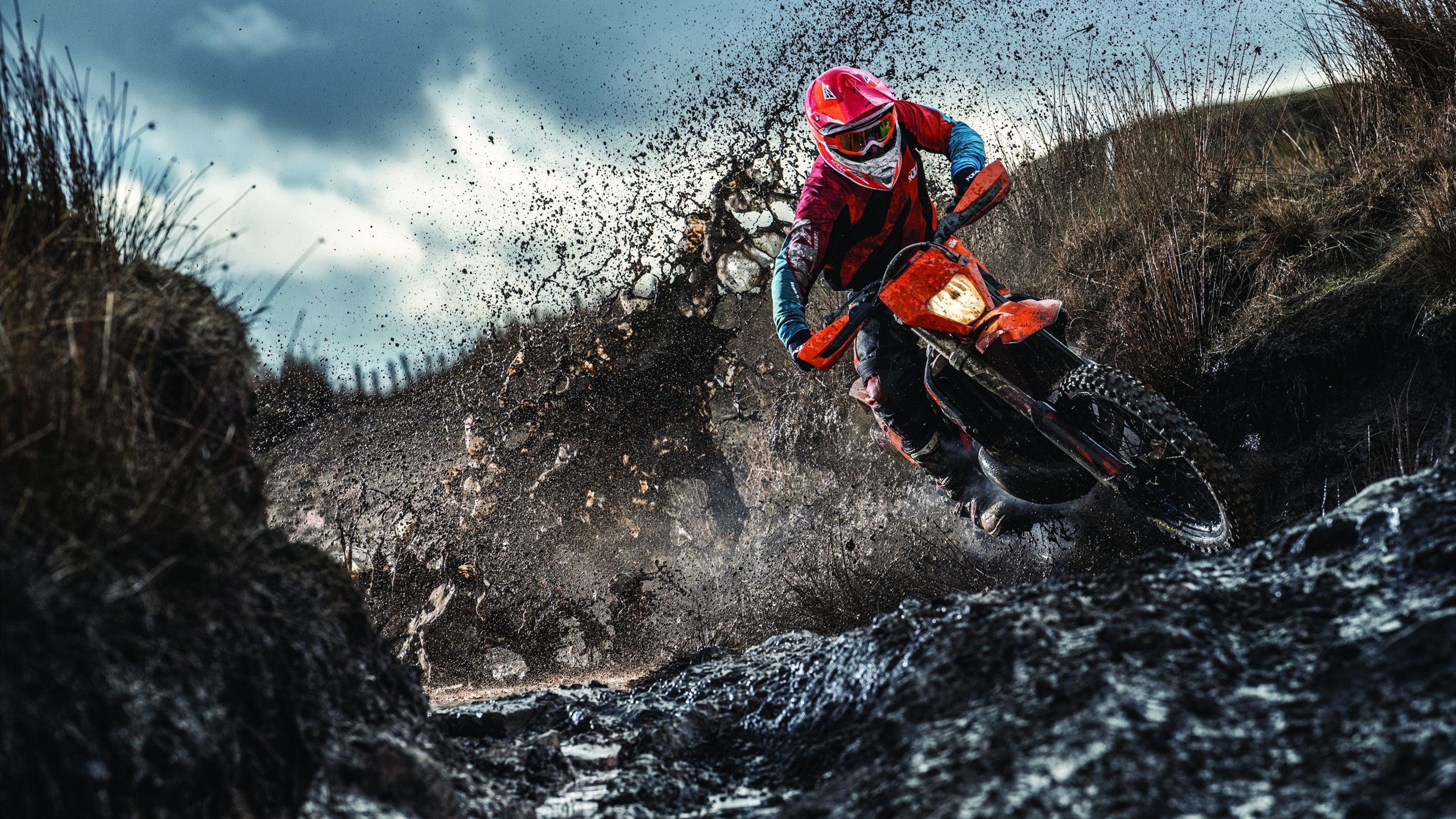 莱奥点燃赛场，当勒沃库森的精密机器遭遇加纳的野性火焰